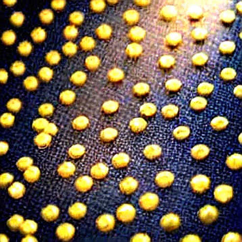 The 99.8% Certainty Trap: Why Crypto's Favorite Bottom Narrative Is Leaking